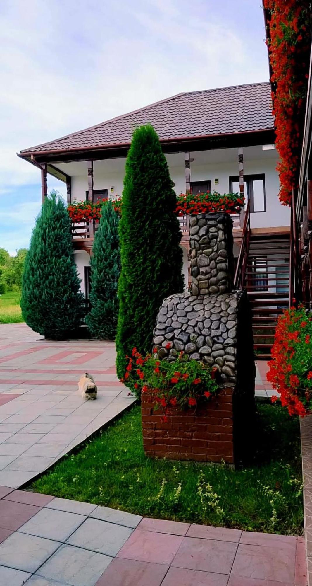 Guest house Cris & Mona