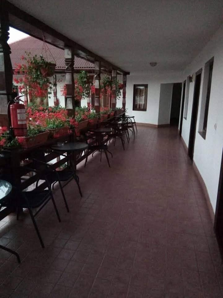 Guest house Cris & Mona 3*